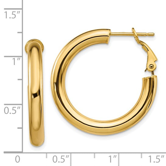 Omega Back Hoop Earrings