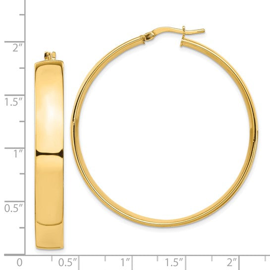 Gold Hoop Earrings